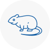 Rat Control Ashton In Makerfield